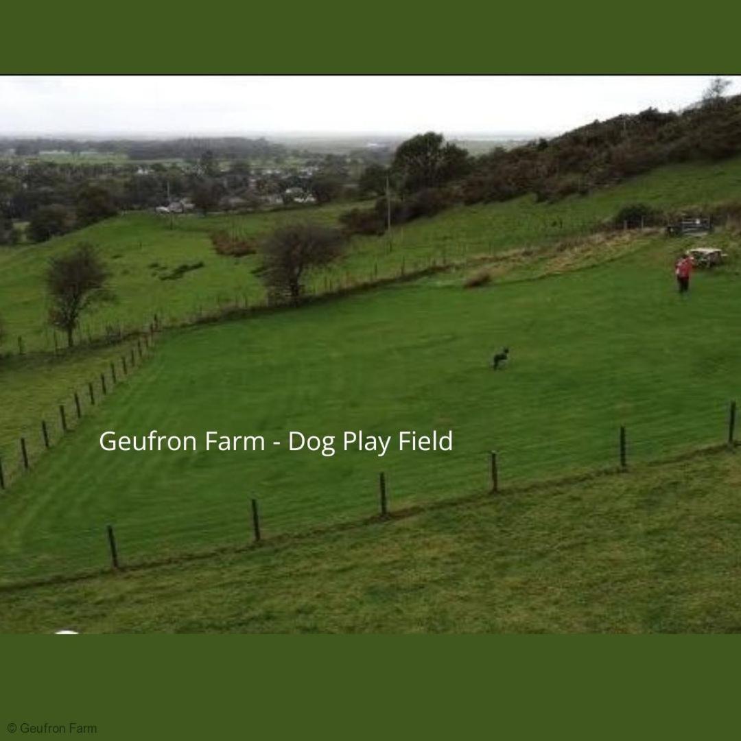 Dog Friendly Cottage, Geufron Farm Near Tywyn Bryn-crug Kültér fotó