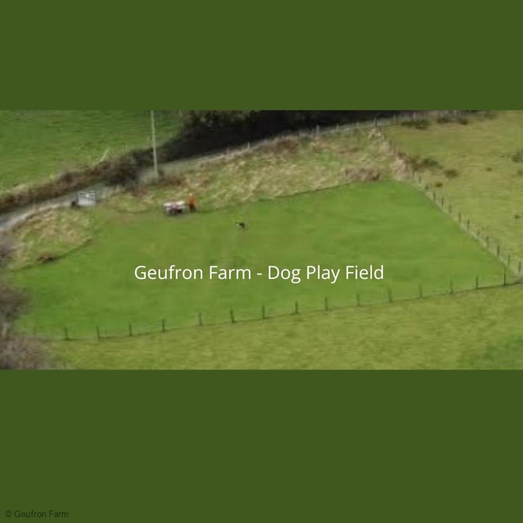 Dog Friendly Cottage, Geufron Farm Near Tywyn Bryn-crug Kültér fotó