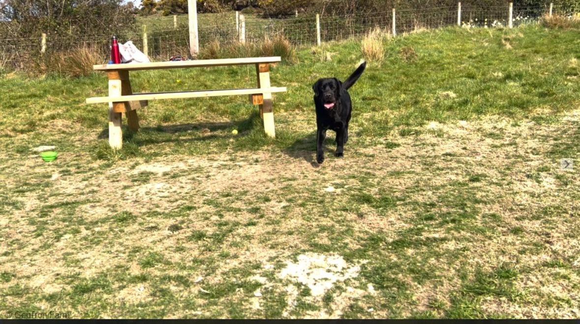 Dog Friendly Cottage, Geufron Farm Near Tywyn Bryn-crug Kültér fotó